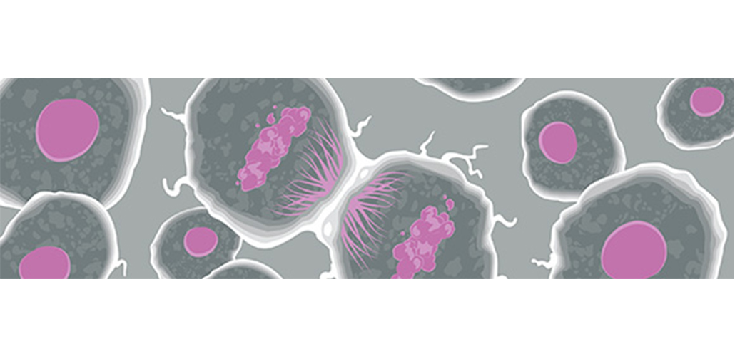 Mitochondrial application guide from Abcam