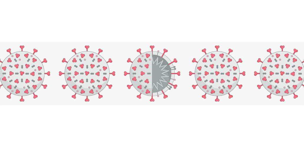 Structural and functional mechanism of SARS-CoV-2 cell entry