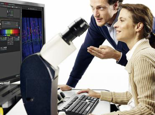 Confocal Microscopes